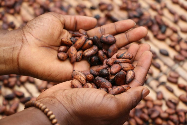 Photo by Etty Fidele © Unsplash Cocoa