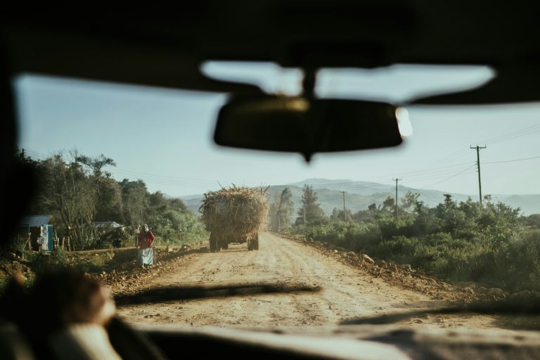 Photo by Mario Klassen @ Unsplash