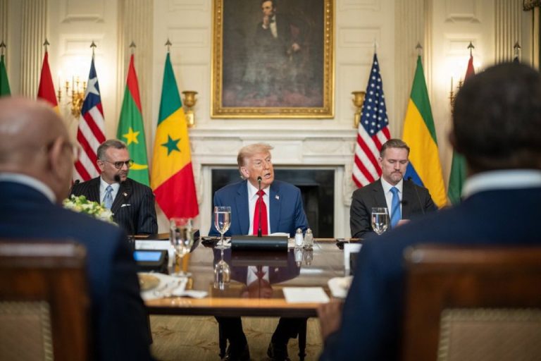 US President Donald Trump met African leaders at the White House early July @ Facebook/ White House
