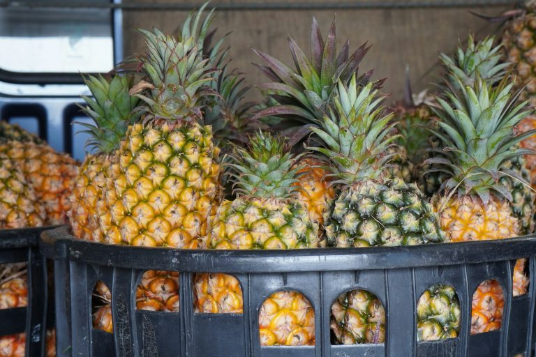 Photo by LiangKai Huang @ Unsplash Pineapple export