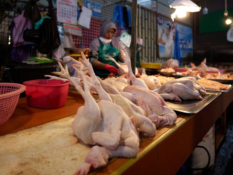 Photo by Kelvin Zyteng @ Unsplash Poultry