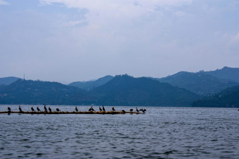 Lake Kivu, Rwanda Photo by Michael Muli @ Unsplash