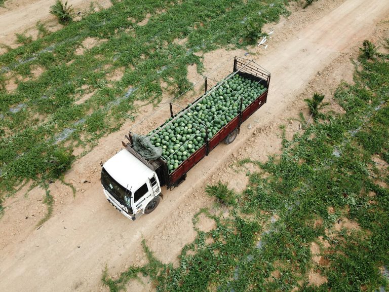 Farm export. Photo by Soo Ann Woon @ Unsplash
