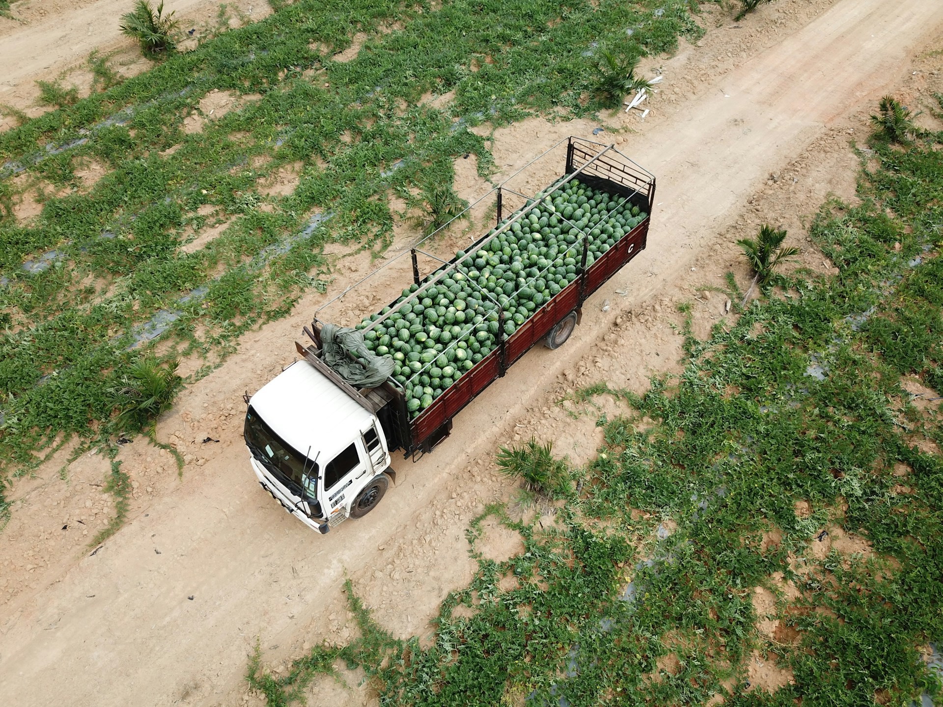 Farm export. Photo by Soo Ann Woon @ Unsplash