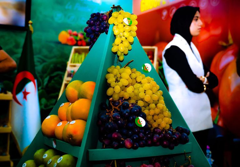 An exhibition stand at the Intra-Africa Trade Fair 2025 in Algeria Photo: Afreximbank Media