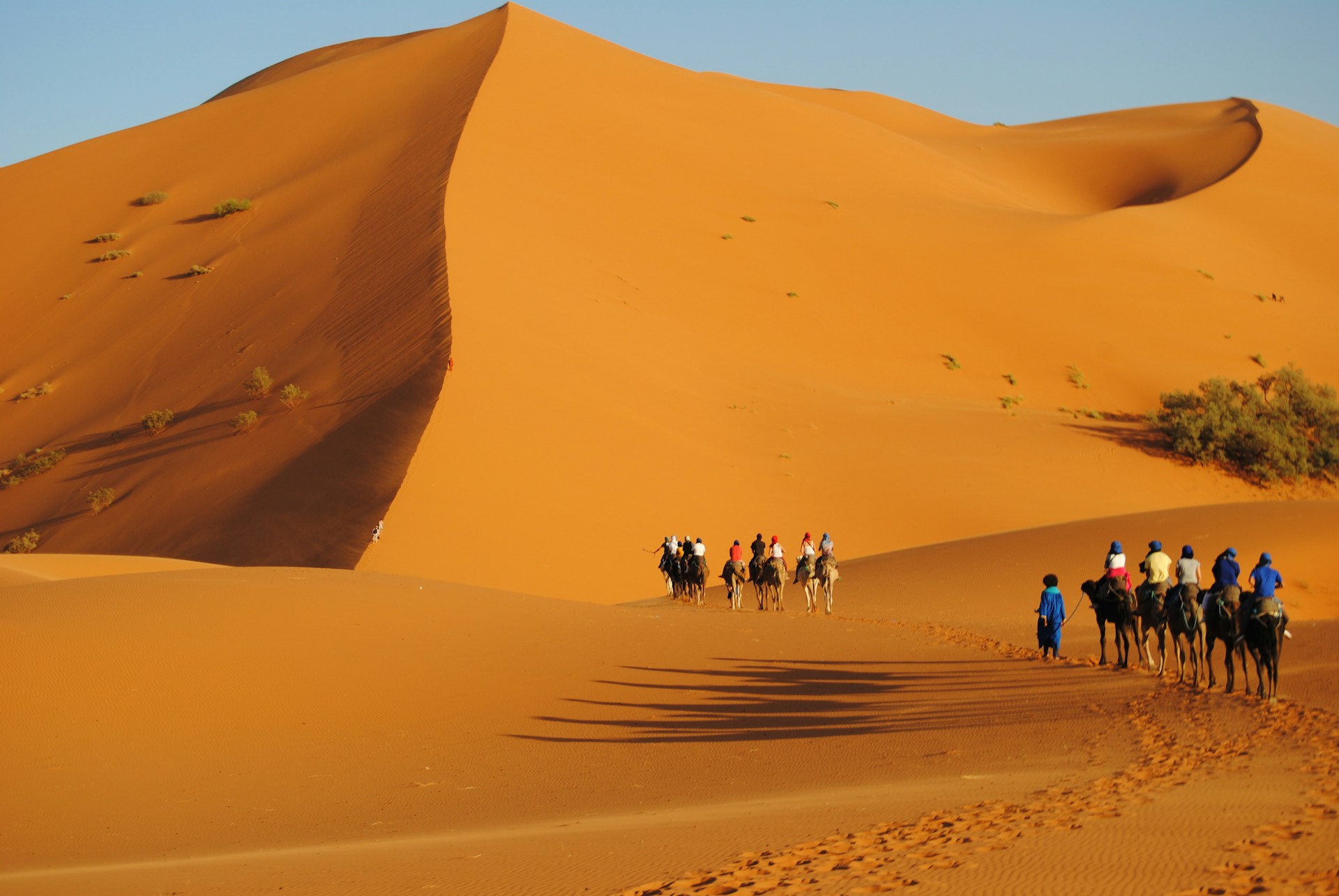 Tourists riding on a desert. Photo by Graphe Tween @ Unsplash