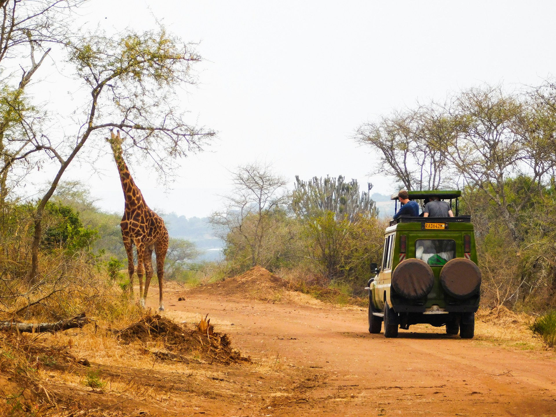 Akagera National Park, Akagera Road, Rwanda. Photo by Emmy Shingiro @ Unsplash