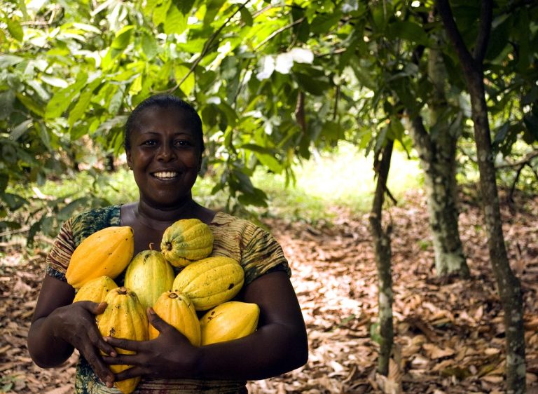 A happy cocoa farmer. Photo @ Pixabay