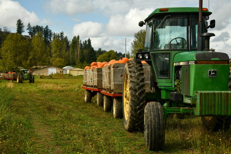 Farm produce being exported. Photo by Shelley Pauls @ Unsplash