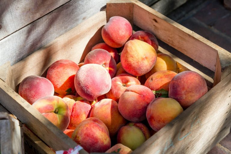 A crate full of fresh Virginia peaches. Photo by LuAnn Hunt @ Unsplash