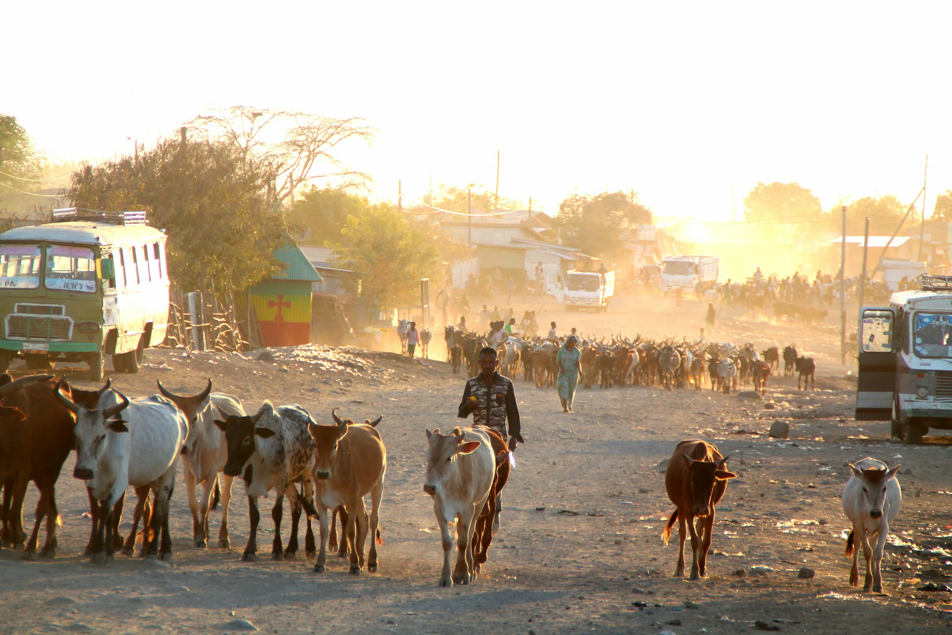 Herdsmen in Ethiopia. Photo by Hanna Grace @ Unsplash