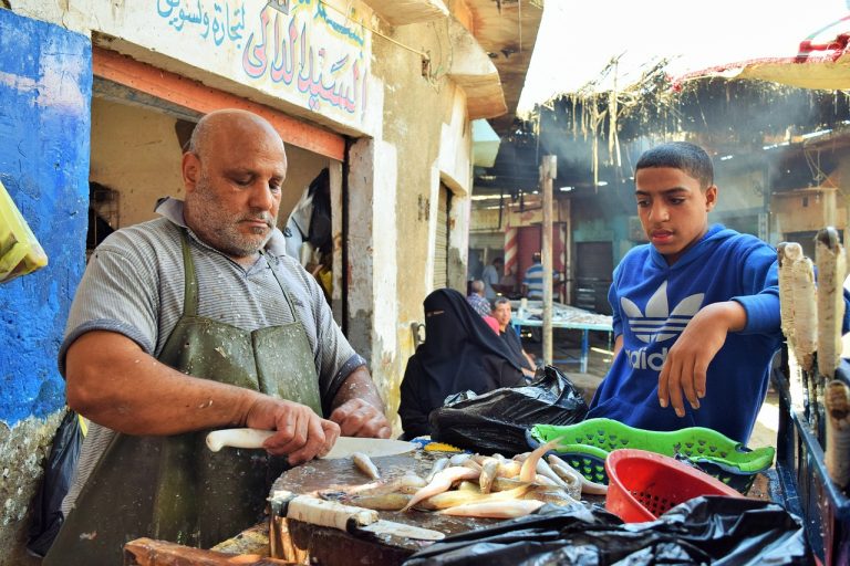 Fish market in Cairo, Egypt. Photo by Mohamed Abdel Latif @ Pixabay