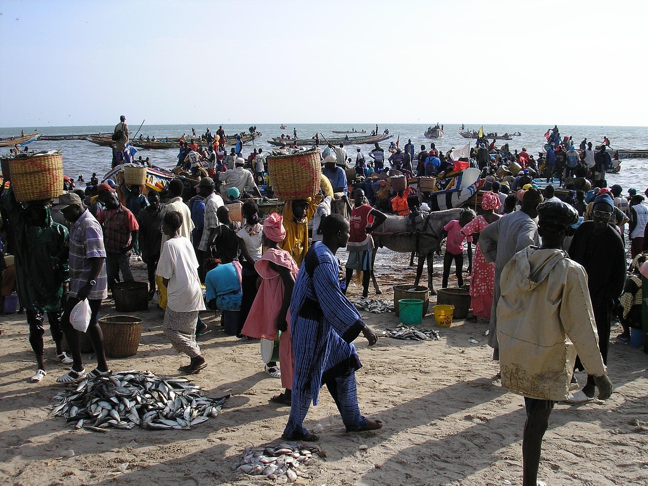 Fishing market in Dakar, Senegal. Photo by Marie Vicat @ Pixabay