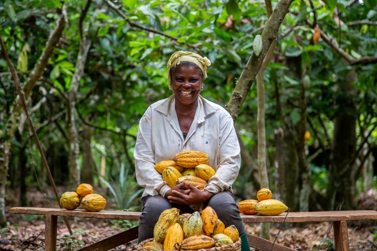 A cocoa farmer. Photo by Tobias Nii Kwatei Quartey @ Unsplash