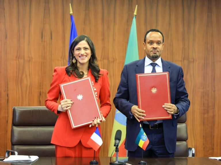 Ahmed Shide, Ethiopia's Minister of Finance and Mme Eléonore Caroit, the French Minister for Europe and Foreign Affairs. Photo @ Ministry of Finance-Ethiopia.
