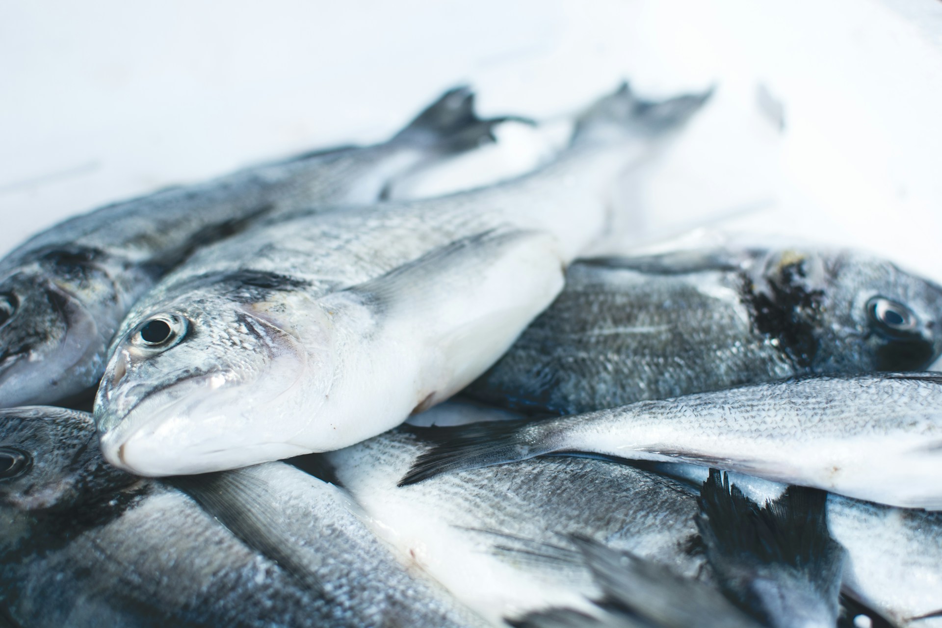 Fish at the market. Photo by Jakub Kapusnak @ Unsplash