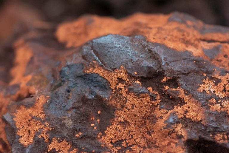 An iron ore on display. Photo by Malcoln Oliveira @ Pexels