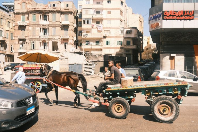 Busy street in Alexandria, Egypt. Photo by Muhammed Fatih Beki @Pexel.