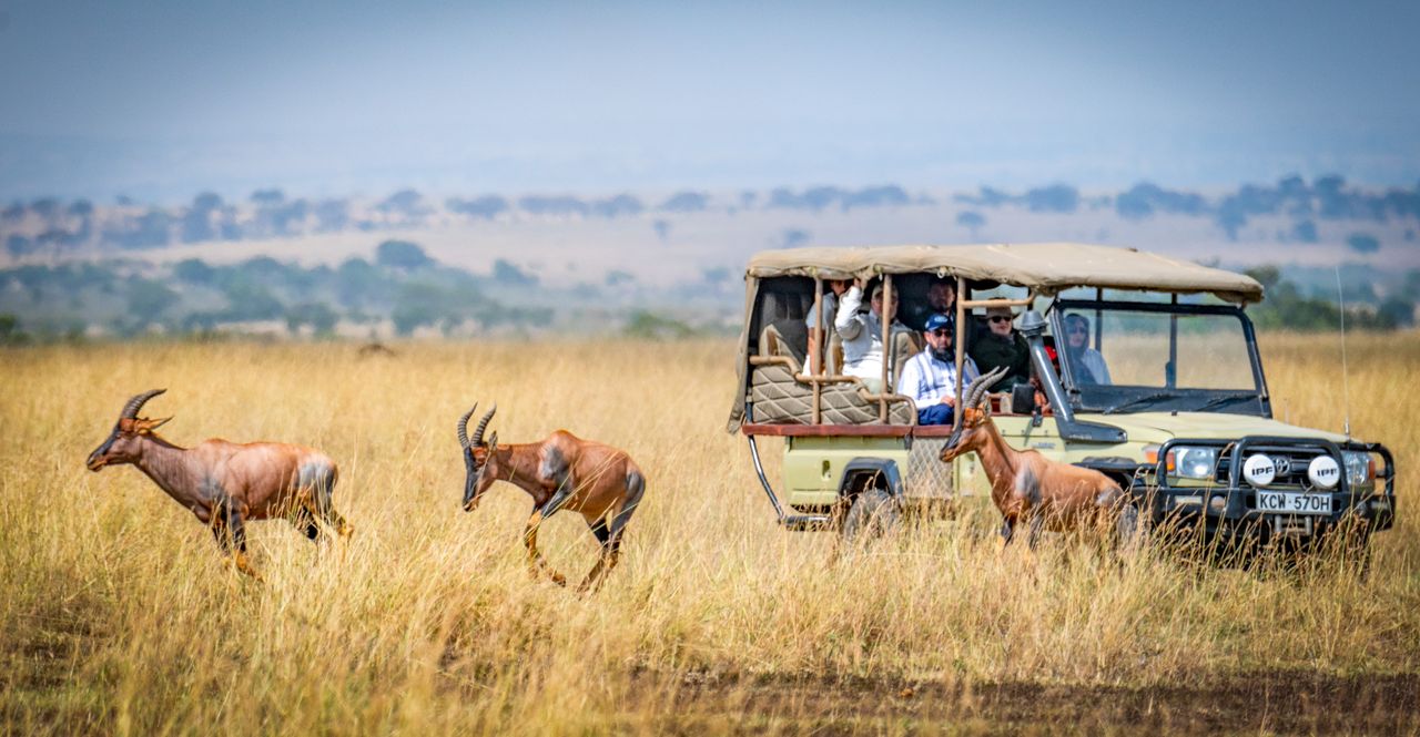 Tourists on an African safari observe antelopes in a scenic grassland setting in Kenya. Photo @Pexels