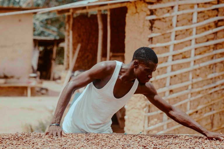 A Ghanaian farmer spreads cocoa beans to dry under the sun. Photo by Zeal Creative Studios @ Pexels